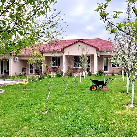 Cozy Family Cottages Vendam Eksteriør billede